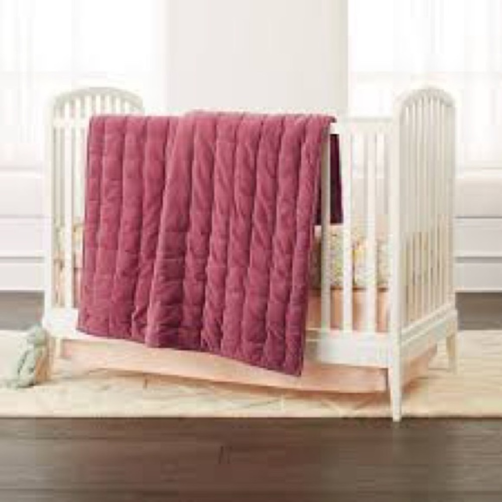 Crate & kids velvet crib quilt